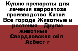 Куплю препараты для лечения варроатоза производство Китай - Все города Животные и растения » Другие животные   . Свердловская обл.,Асбест г.